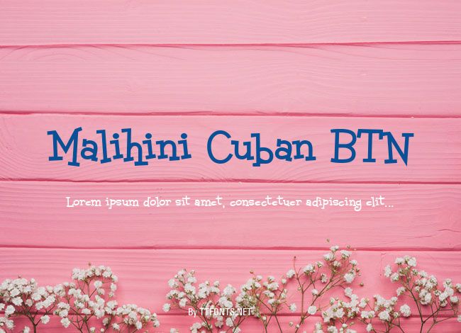 Malihini Cuban BTN example
